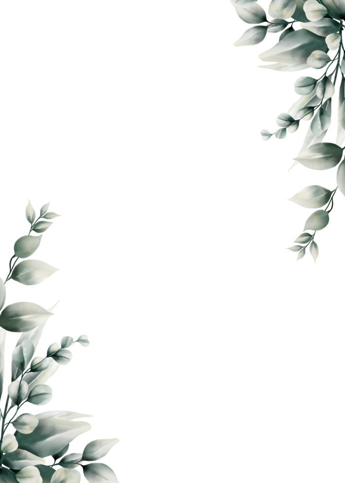 cadre de feuille d'eucalyptus aquarelle png