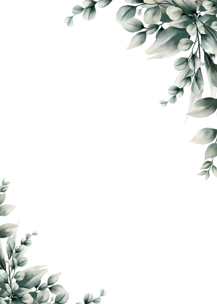 acquerello eucalipto foglia telaio png
