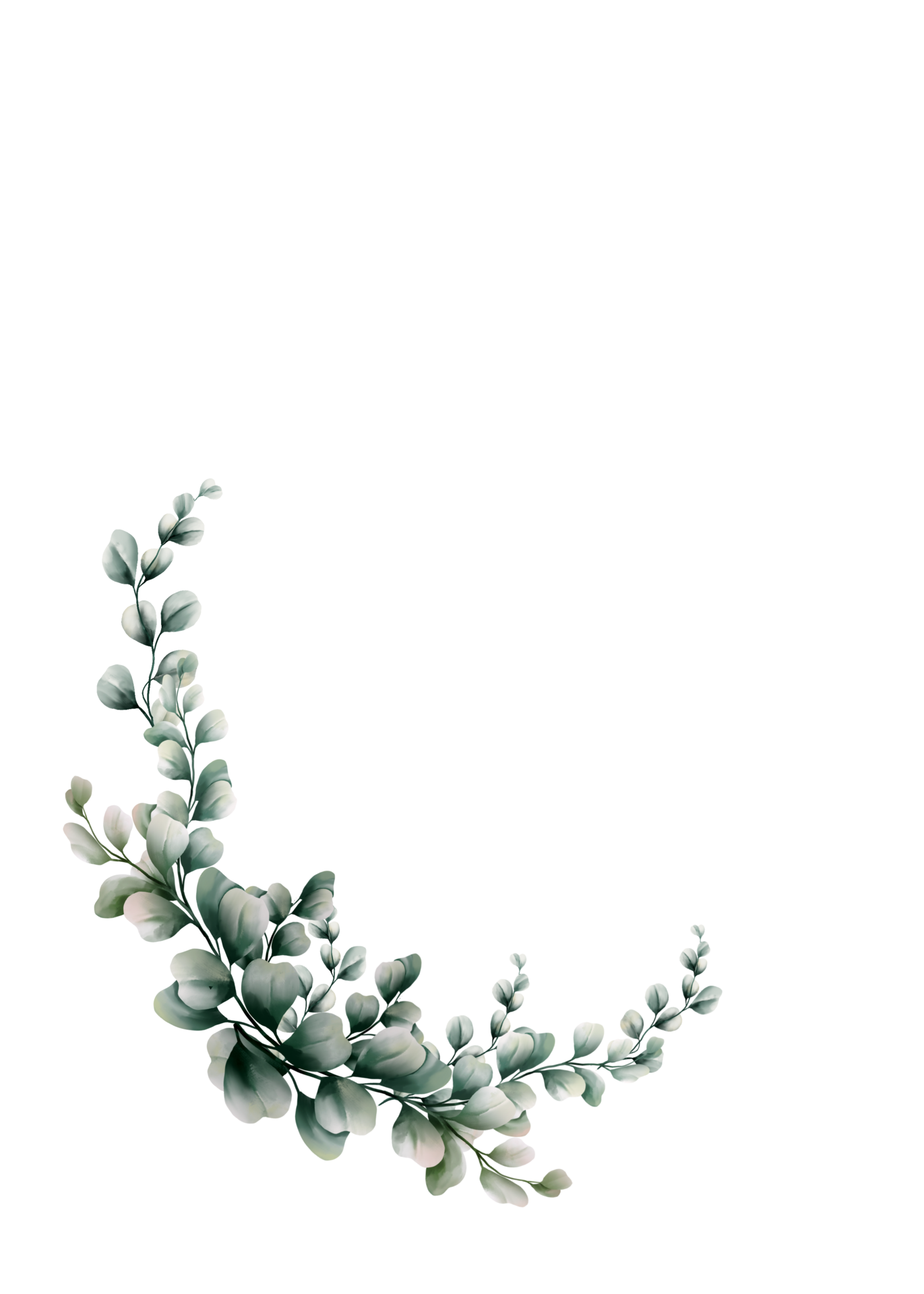 Watercolor eucalyptus leaf 10978394 PNG