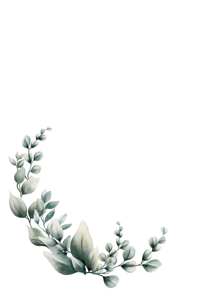 waterverf eucalyptus blad png