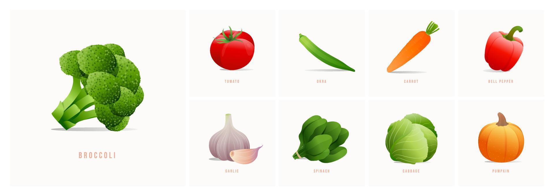 Vector vegetables icons set in cartoon style. Collection farm product for restaurant menu, market label.