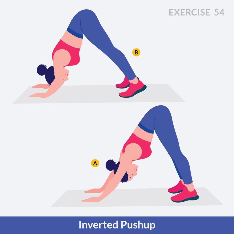 Inverted Push up exercise, Woman workout fitness, aerobic and exercises. vector