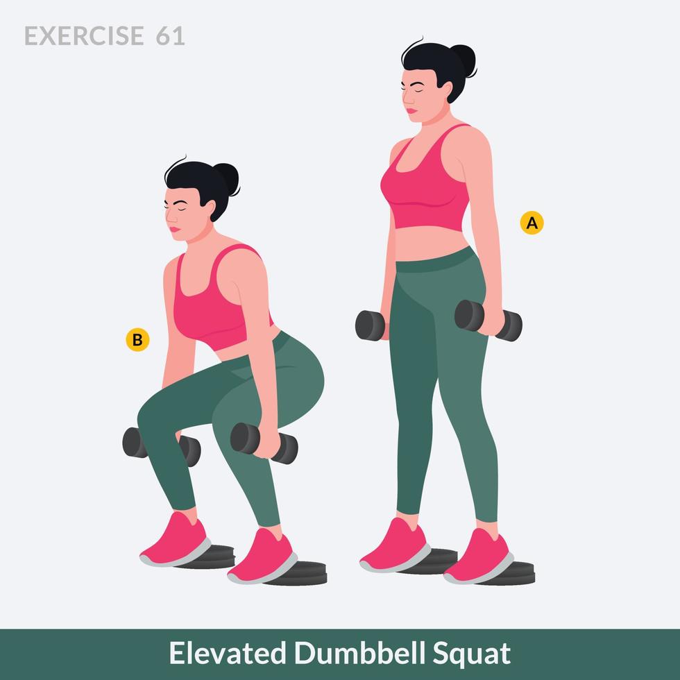 Elevated Dumbbell Squat exercise, Woman workout fitness, aerobic and exercises. vector