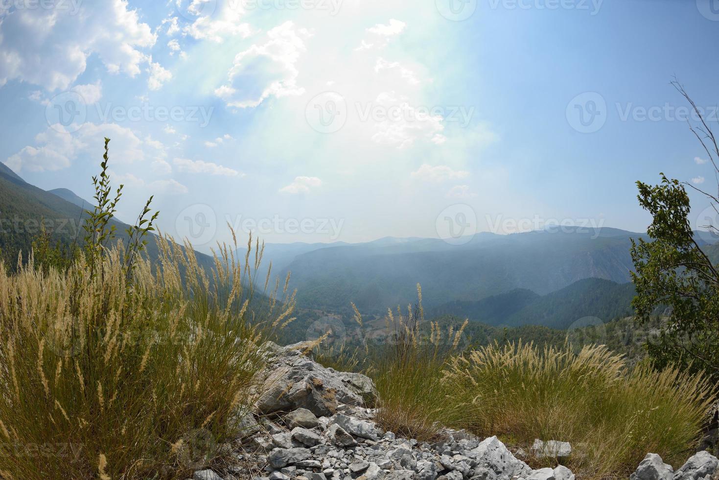 summer landscape view photo