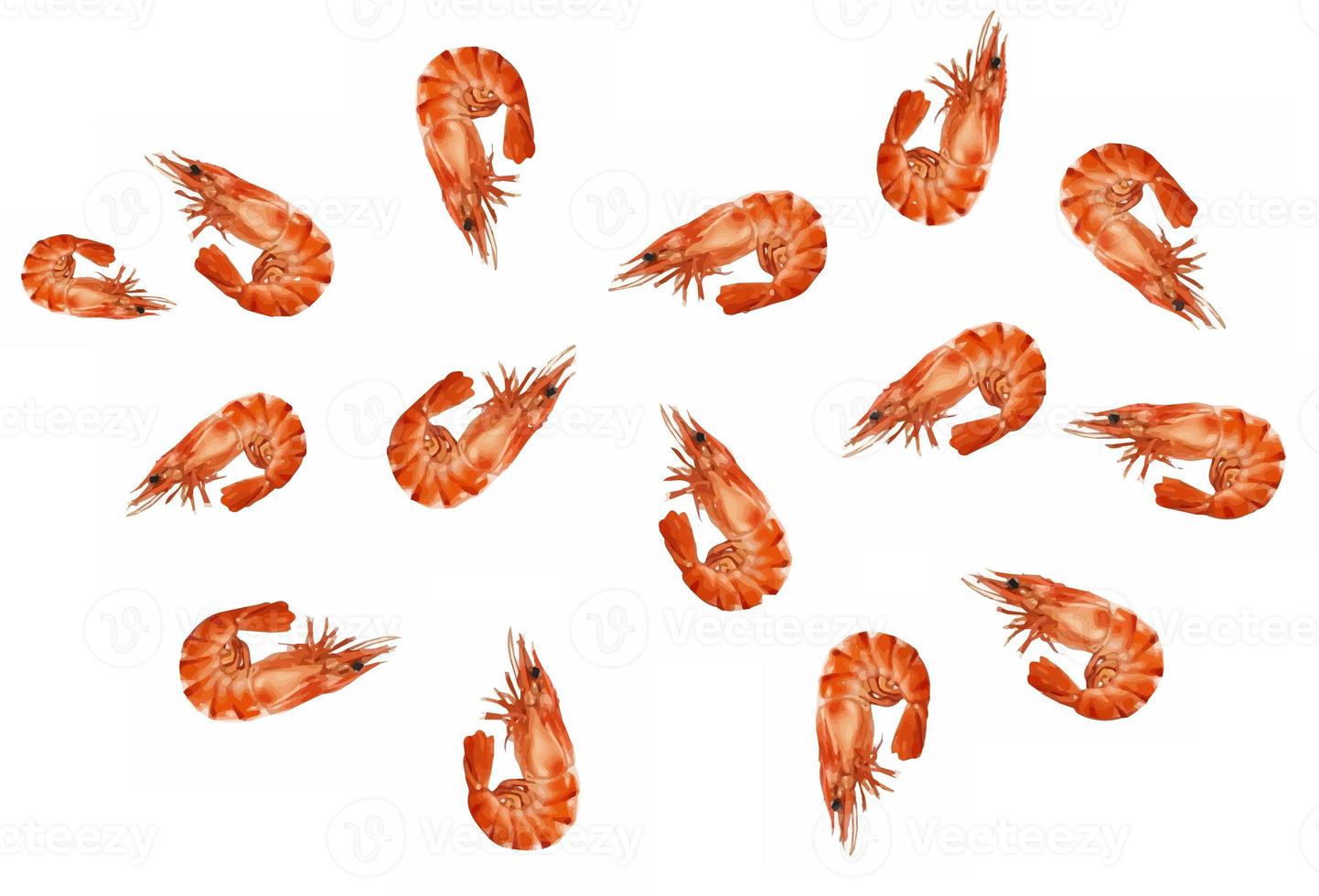Tasty shrimp signage good for your multimedia content design vector or background photo
