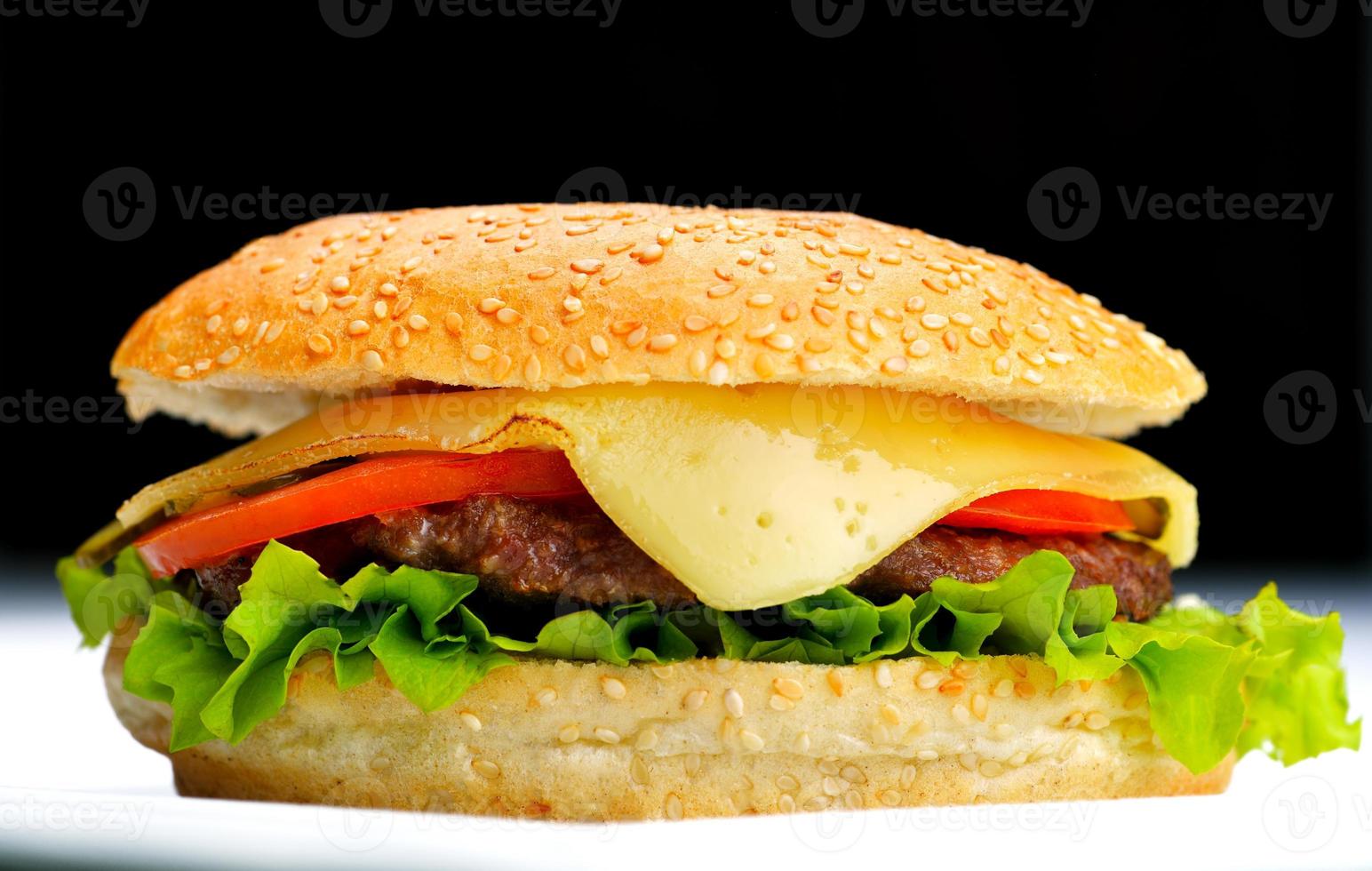 hamburger fast food photo