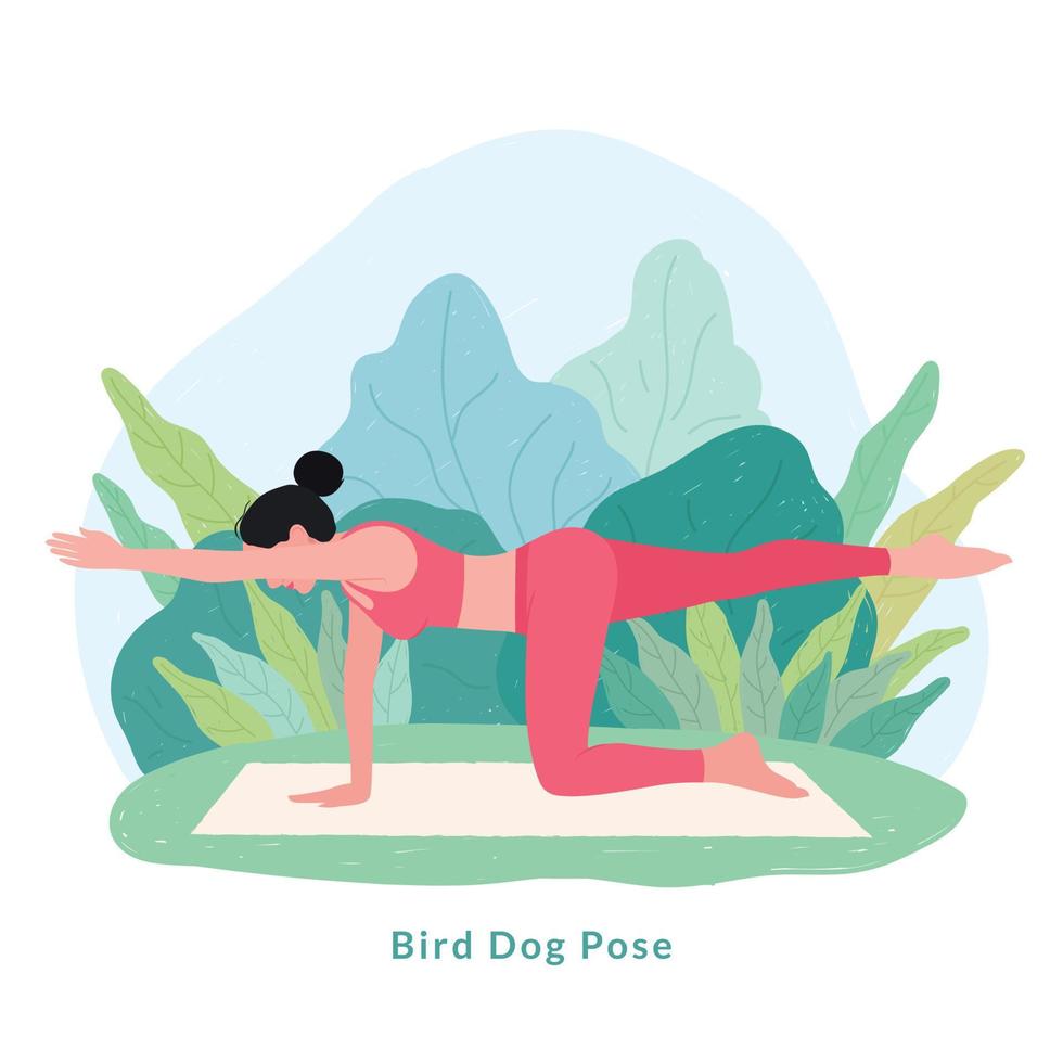 postura de yoga del perro pájaro. mujer joven mujer haciendo yoga para la celebración del día del yoga. vector