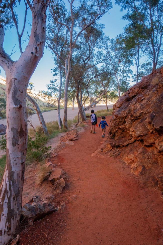 Kids enjoying bushwalking's photo