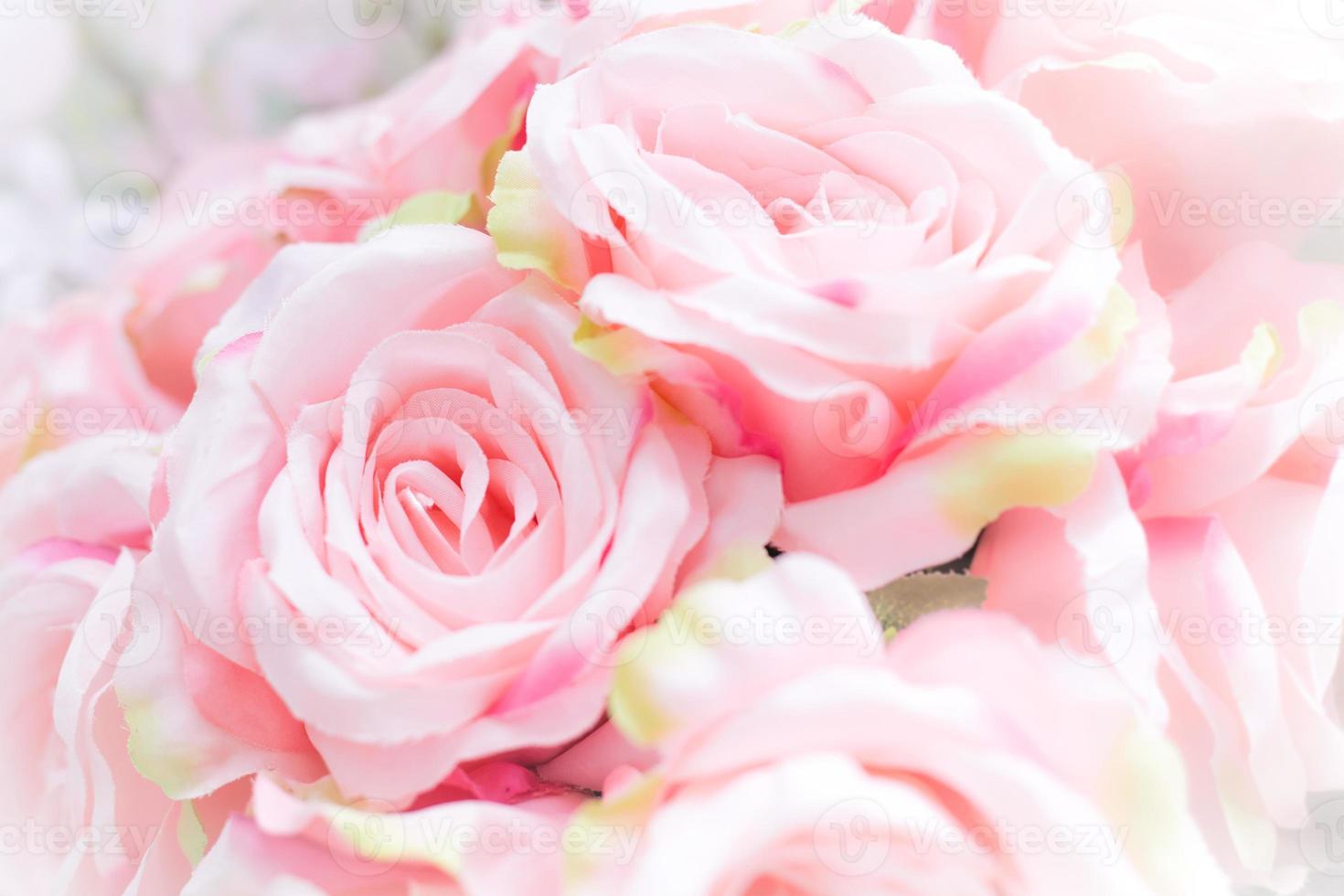 rosas rosa palo de tela foto
