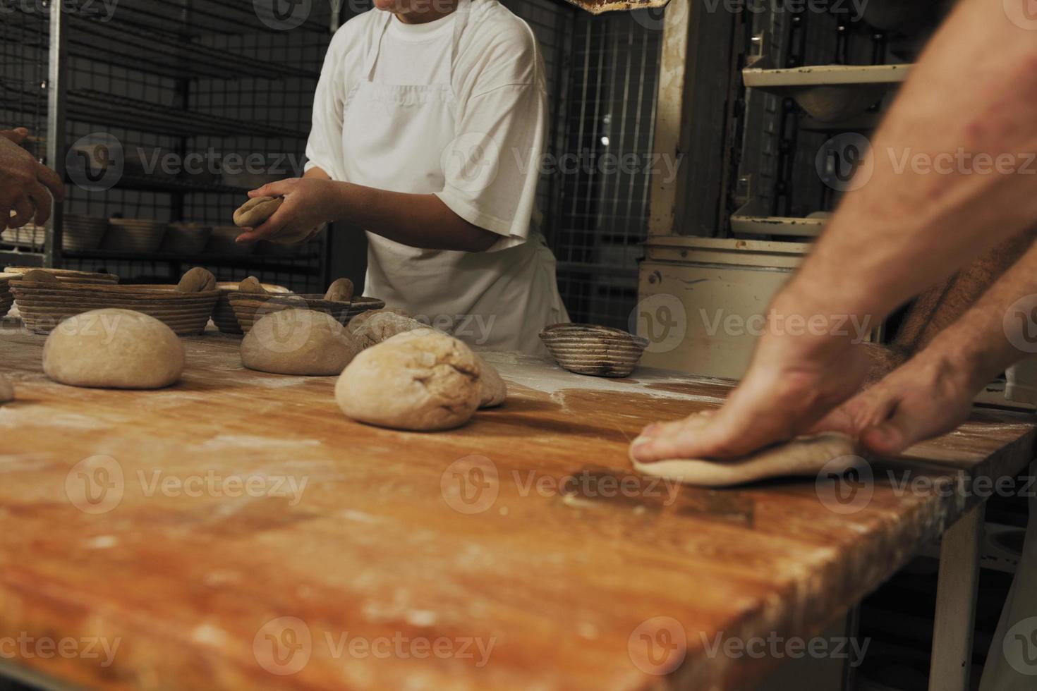 bread factory production photo
