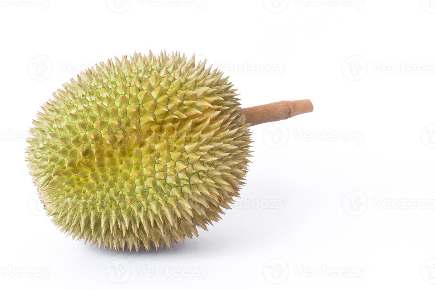 Durian as a king of fruit in Thailand.  It has strong odor and thorn-covered rind. photo