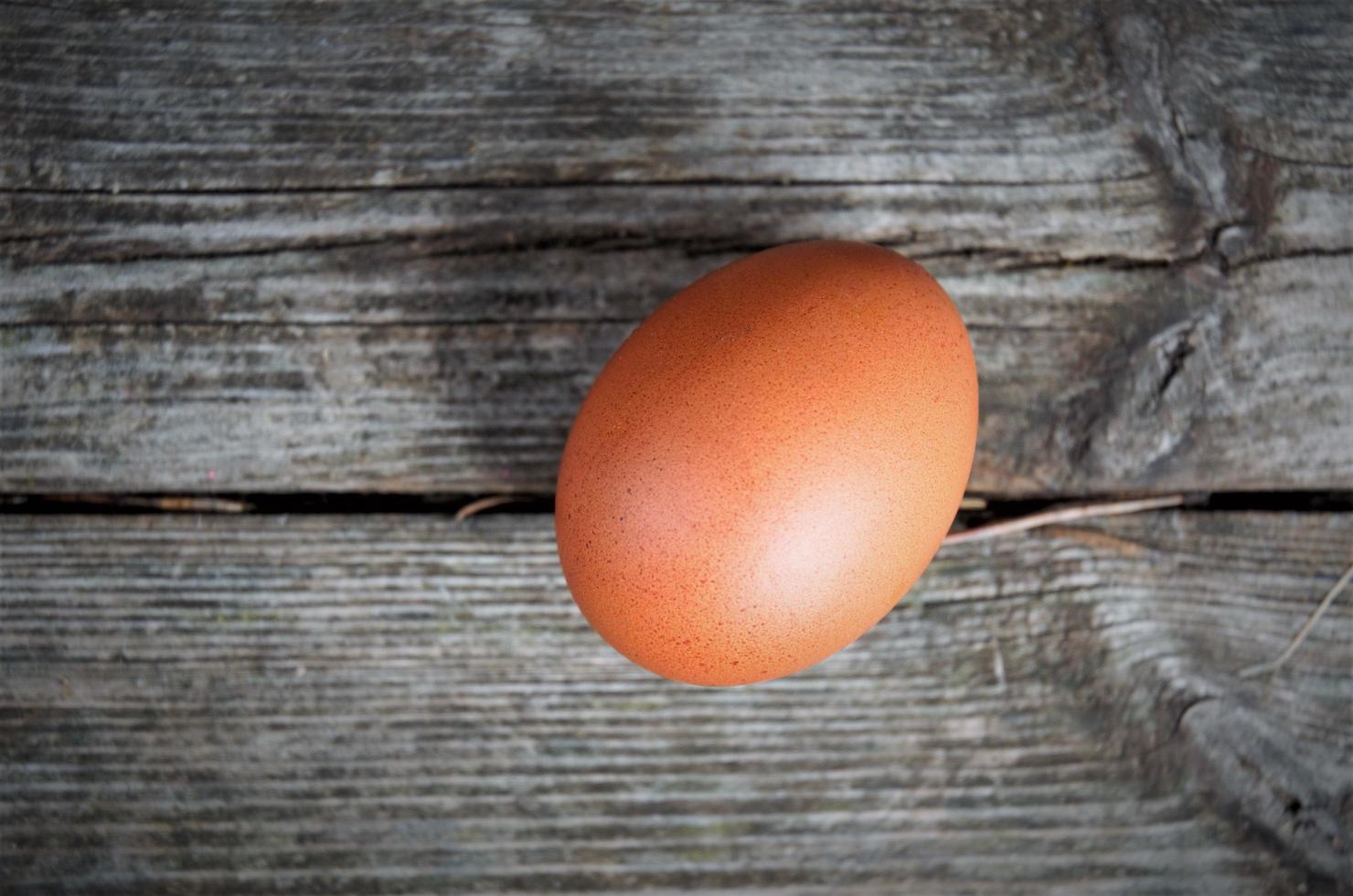 one brown chicken egg out of focus on a wooden background, top view, minimalism photo