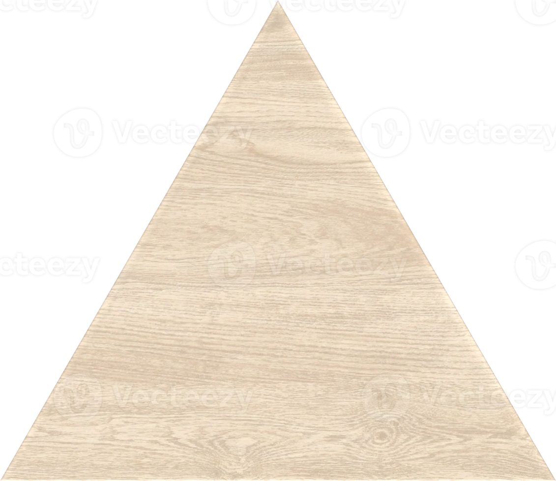 vuoto triangolo di legno cartello png