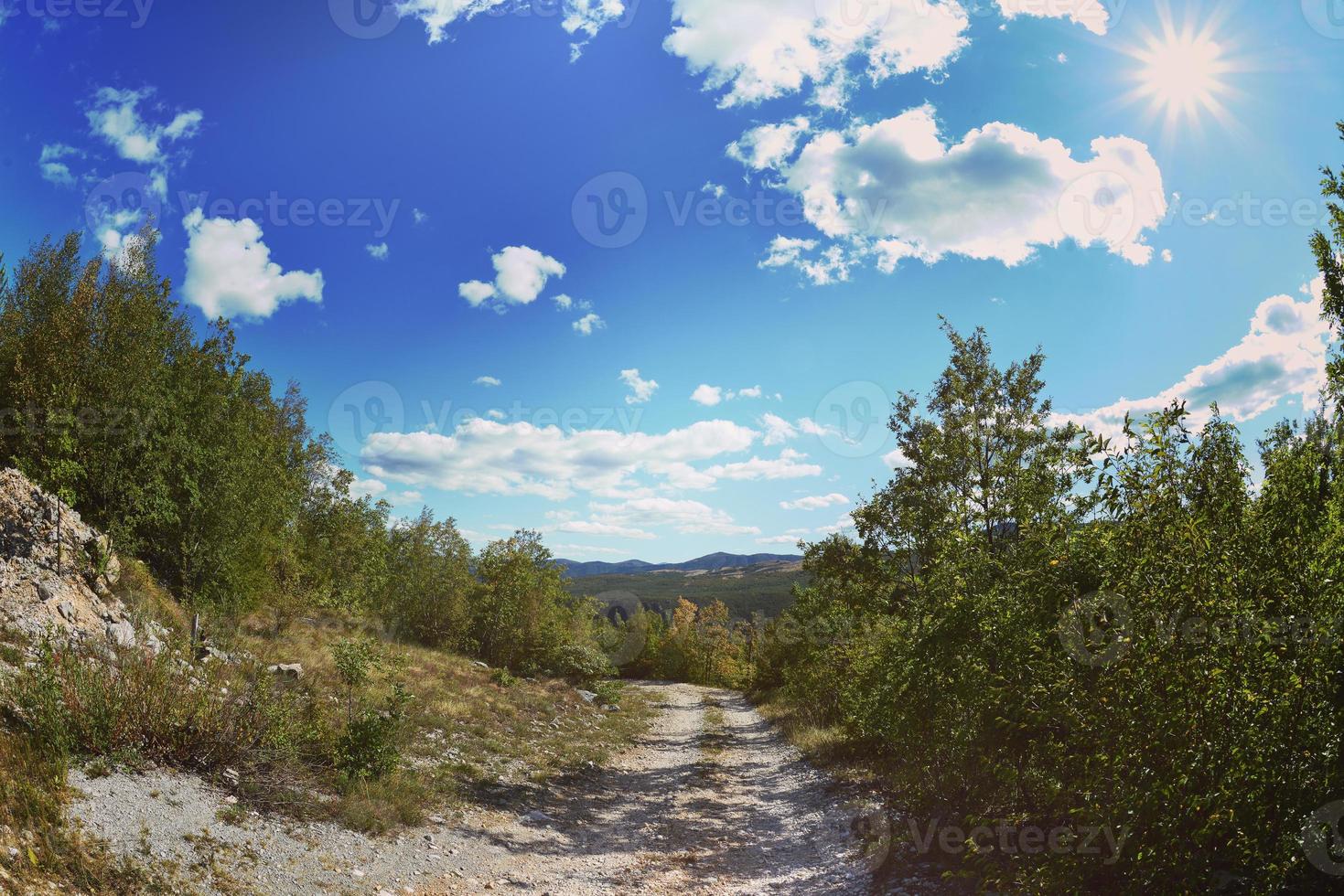 country road view photo