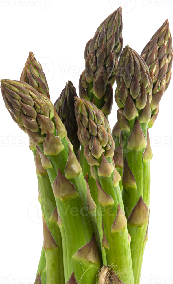 asperges vertes fraîches végétariennes. légumes découpés png