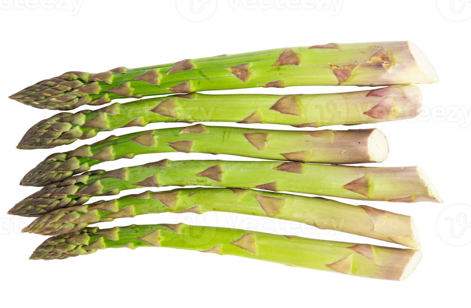 asperges vertes fraîches végétariennes. légumes découpés png