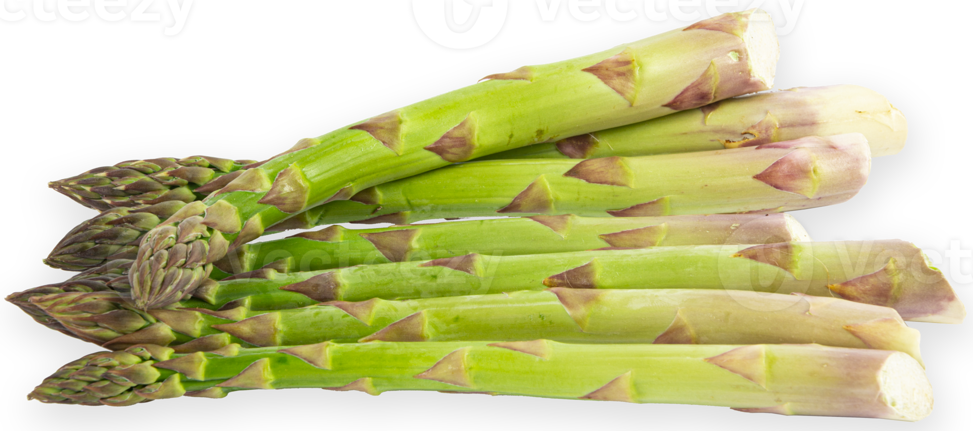 asperges vertes fraîches végétariennes. légumes découpés png