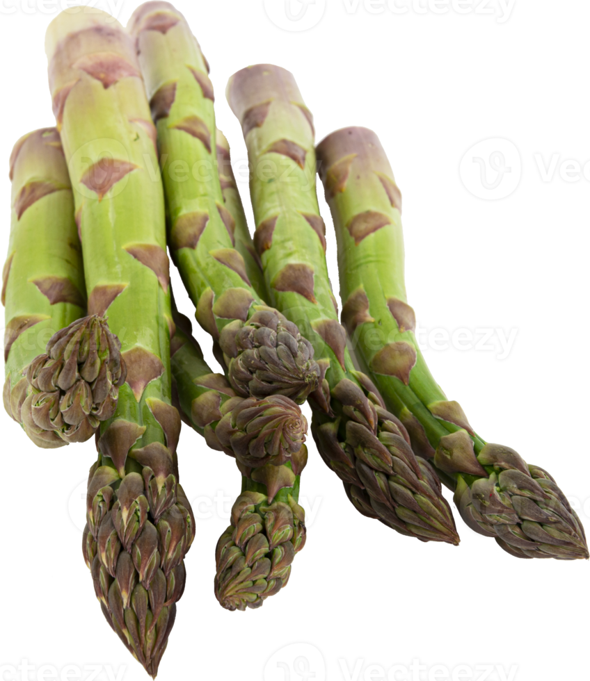 Vegetarian fresh green asparagus. vegetable cut out png