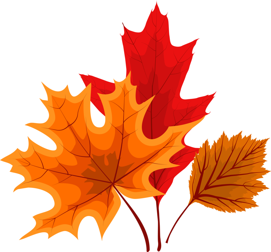 chute des feuilles d'automne png