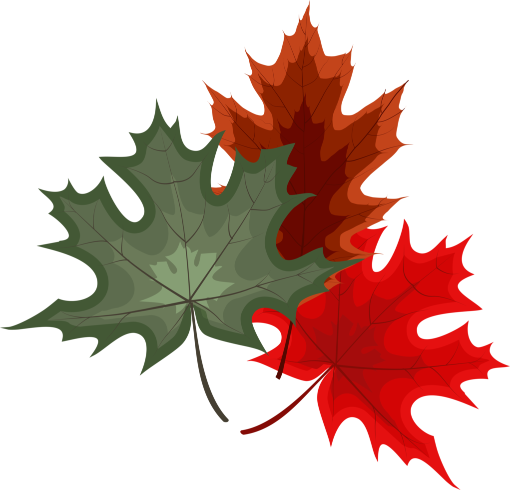 autumn-falling-leaves-10985277-png