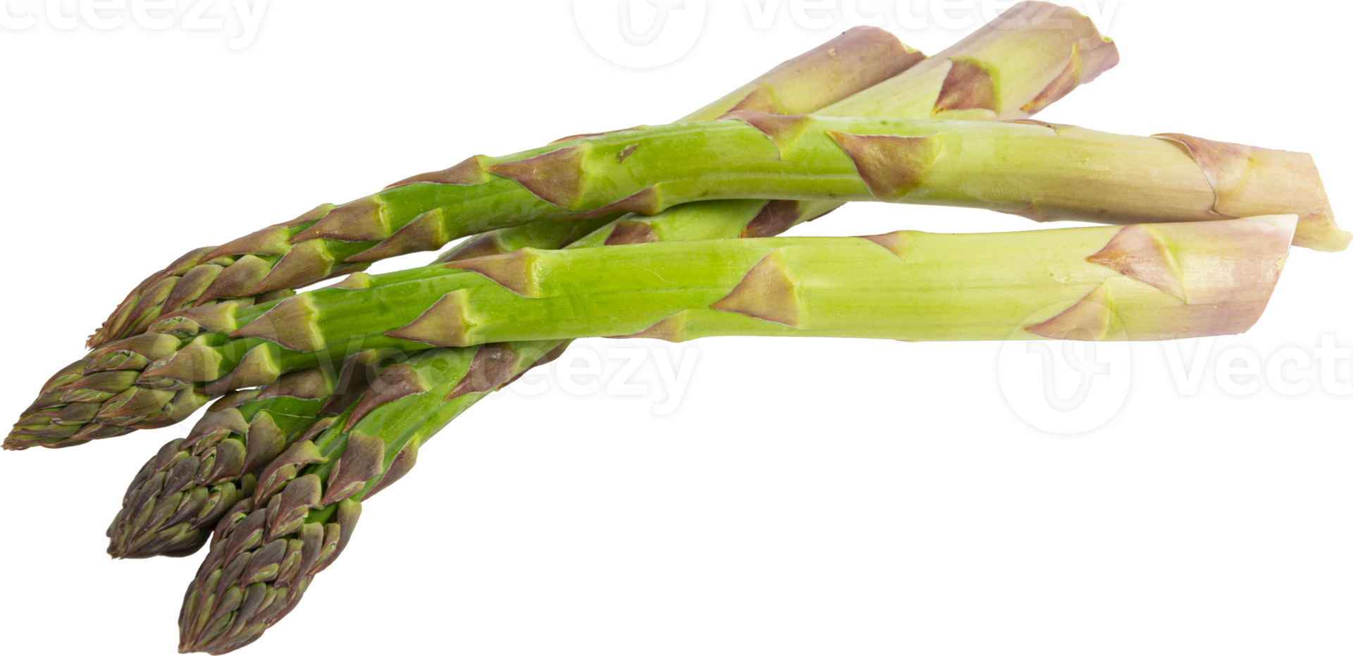 asperges vertes fraîches végétariennes. légumes découpés png