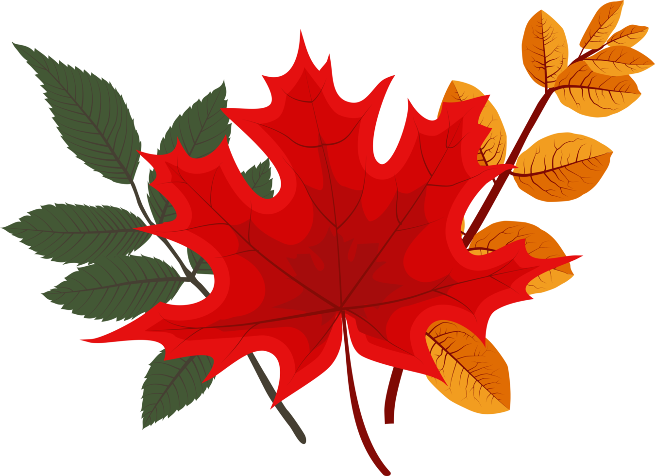 chute des feuilles d'automne png