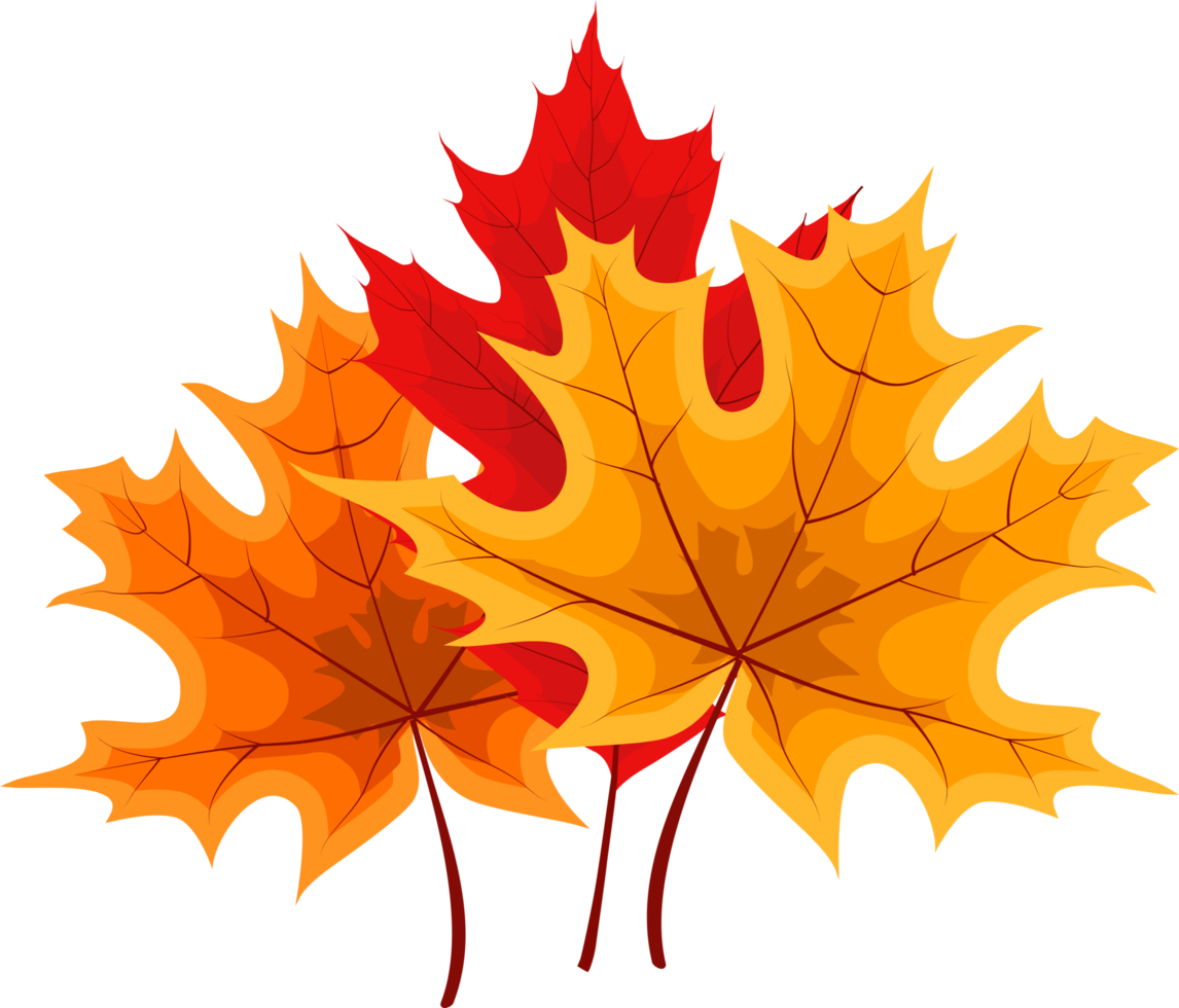 chute des feuilles d'automne png