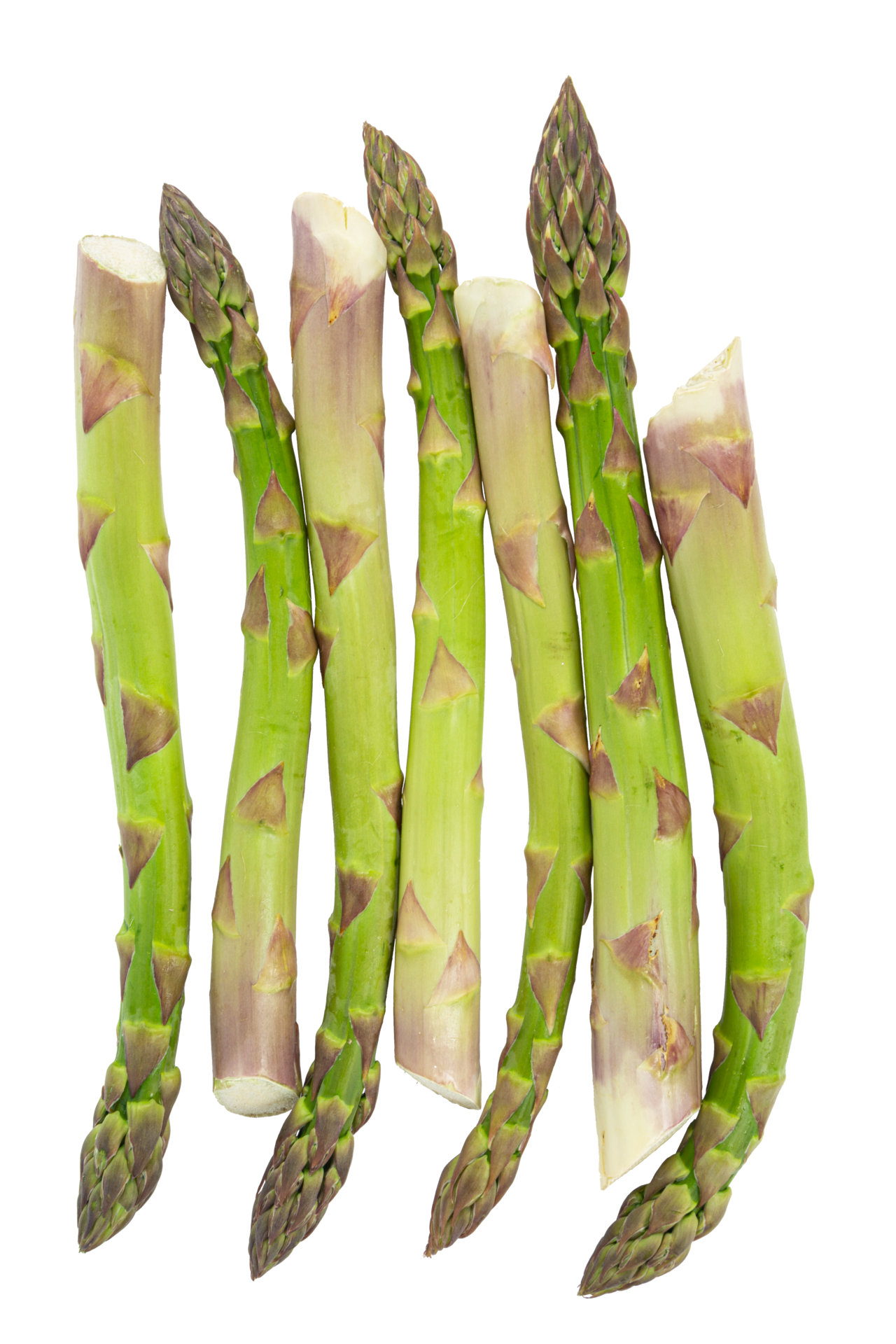 Vegetarian fresh green asparagus. vegetable cut out 10985860 PNG