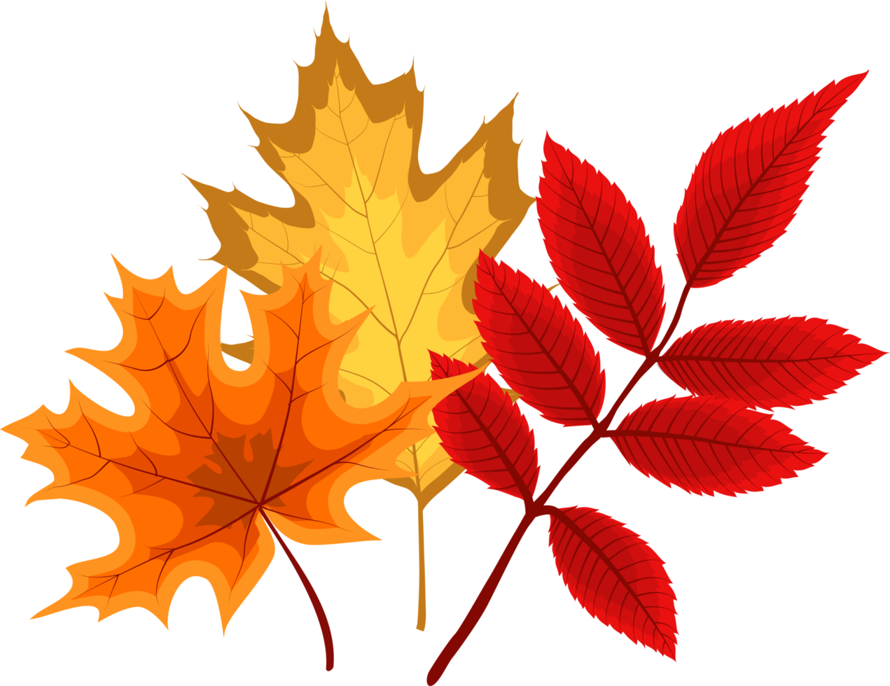 Autumn Falling Leaves png
