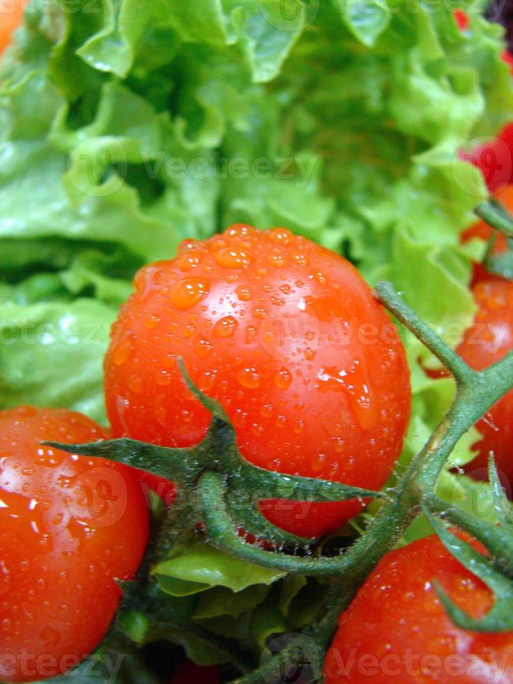 tomates rojos frescos foto