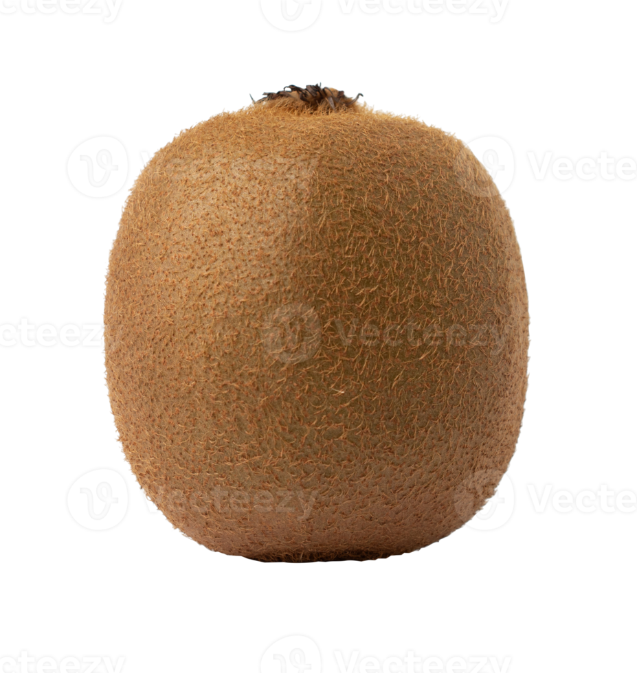 Green kiwi  isolated on white background. with clipping path png