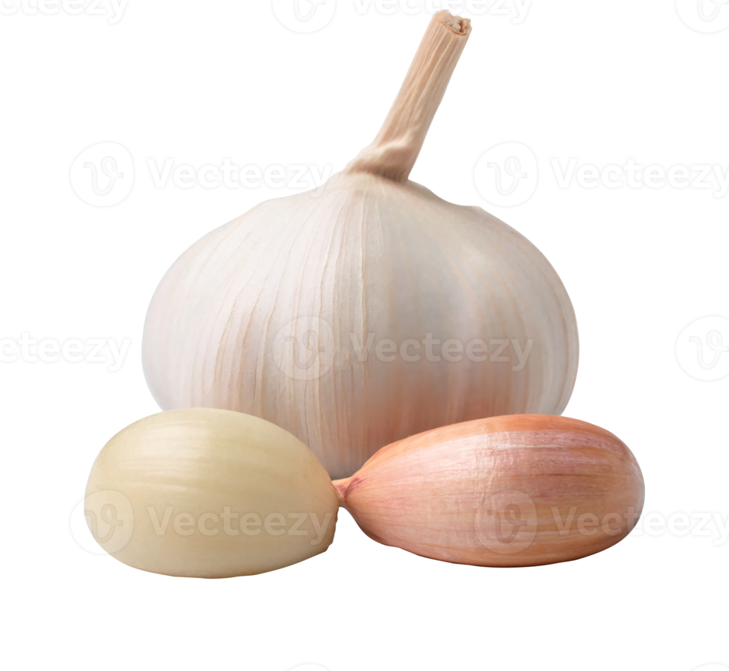 Beautiful garlic isolated on white background. with clipping path. png