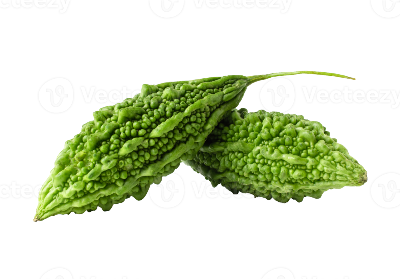 bitter melon, bitter kalebass på vit bakgrund. med urklippsbana png