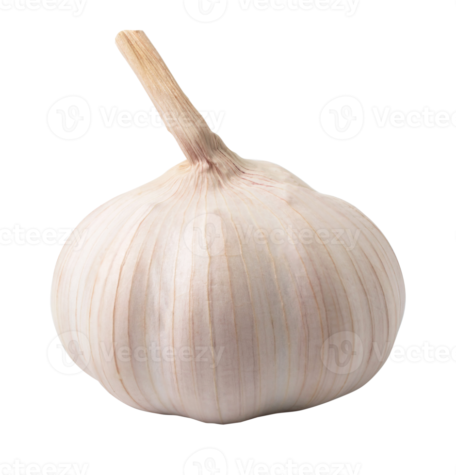 Beautiful garlic isolated on white background. with clipping path. png