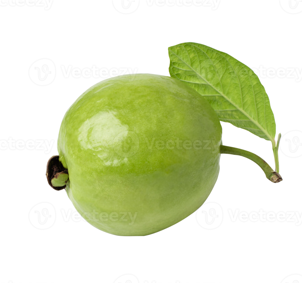 Fresh guava with leaf isolated on white background. with clipping path png