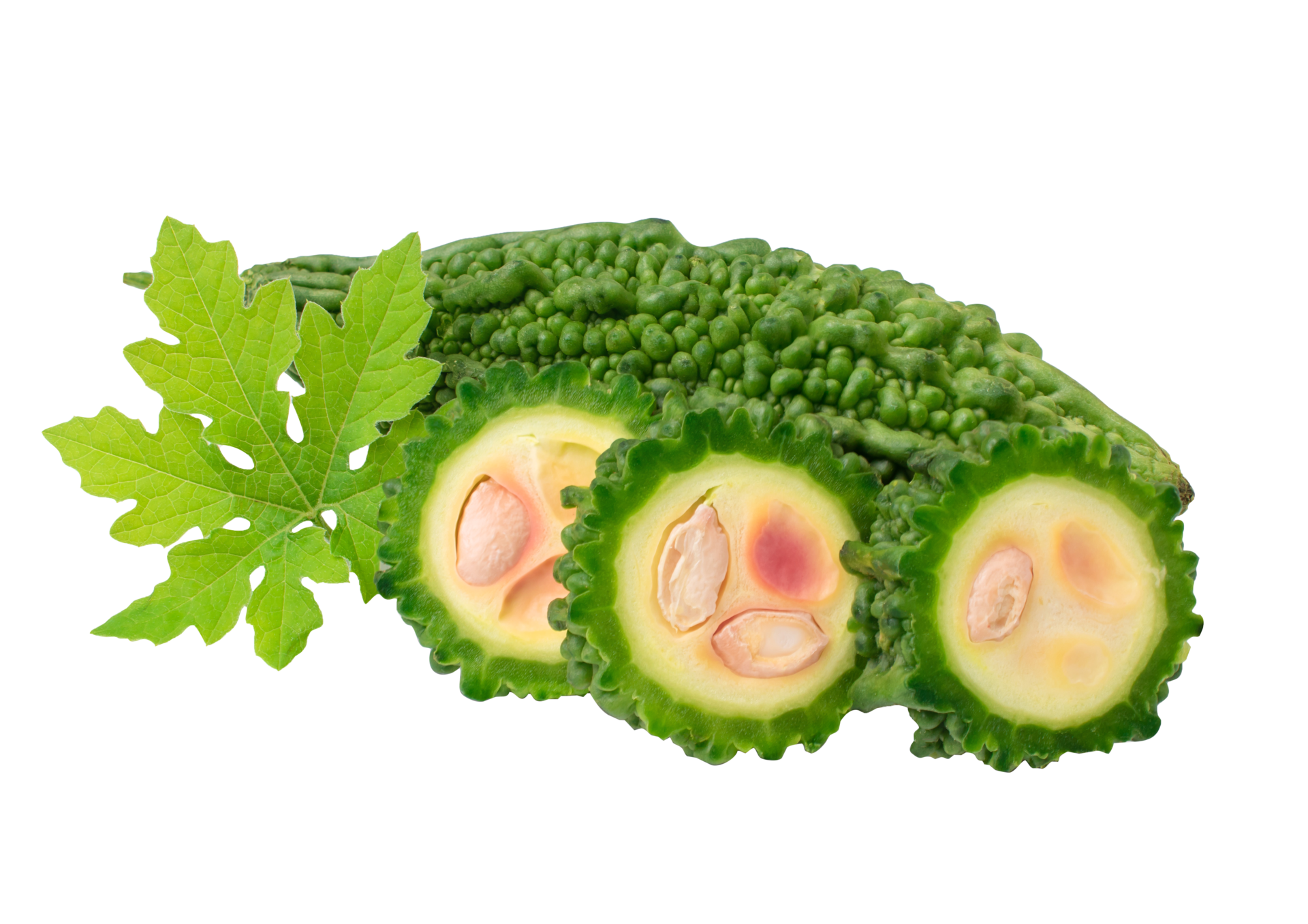 Bitter Melon Bitter Gourd On White Background With Clipping Path bitter-melon-bitter-gourd-on-white-background-with-clipping-path