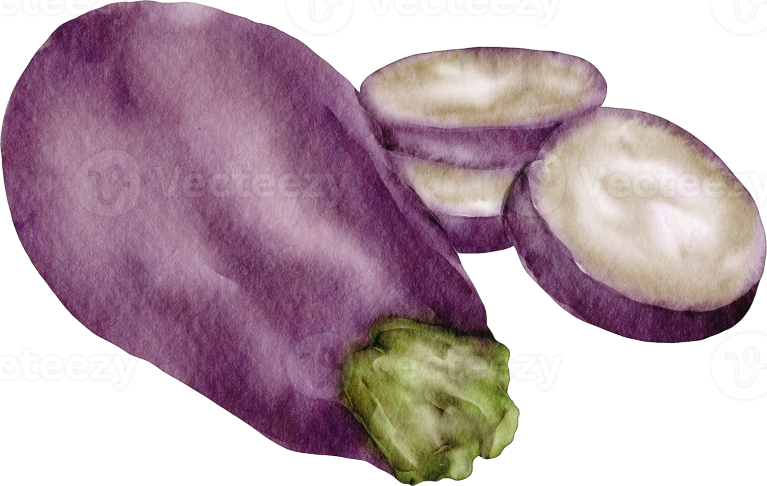 Aquarell Aubergine ClipArt png