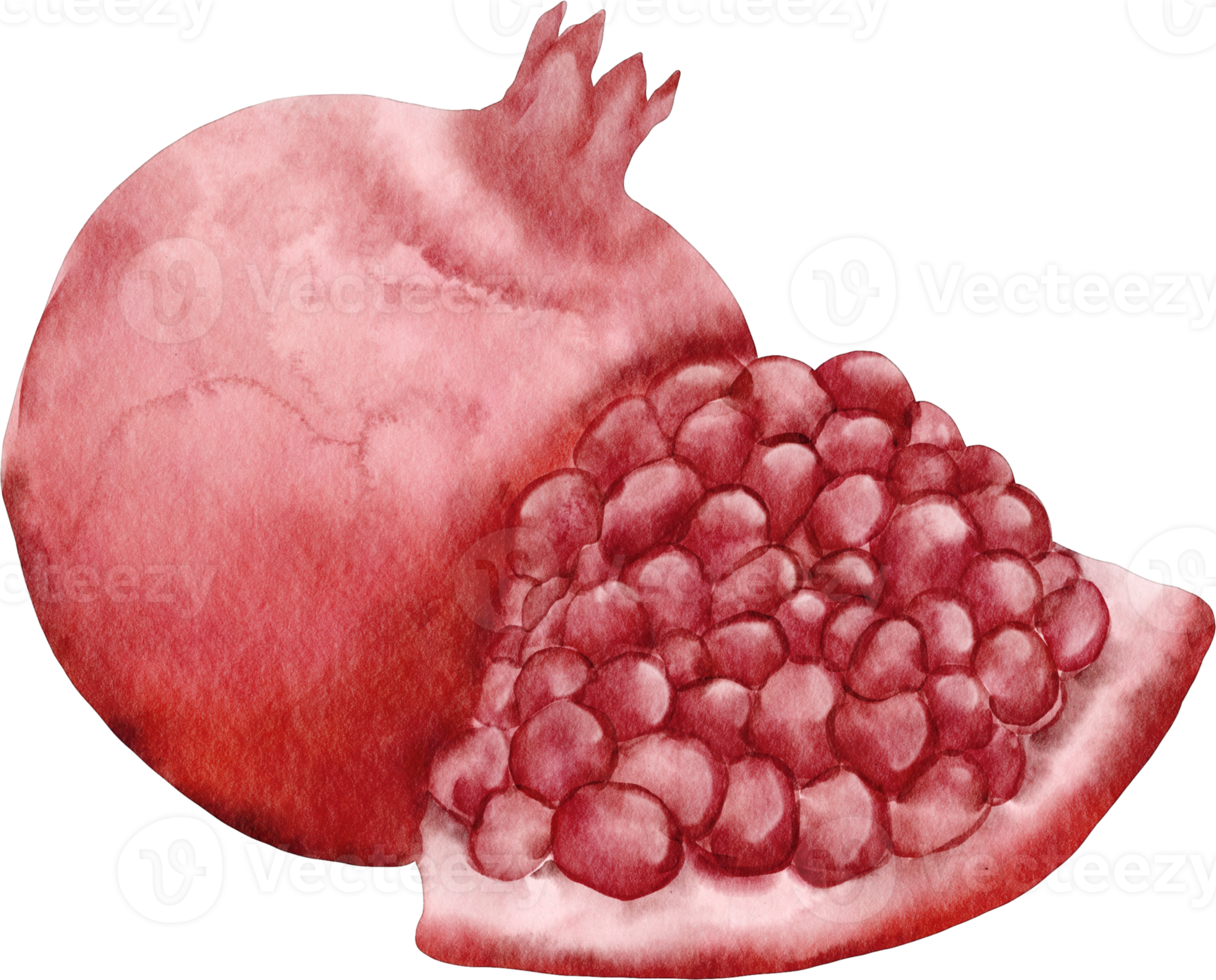 vattenfärg granatäpple klämma konst png