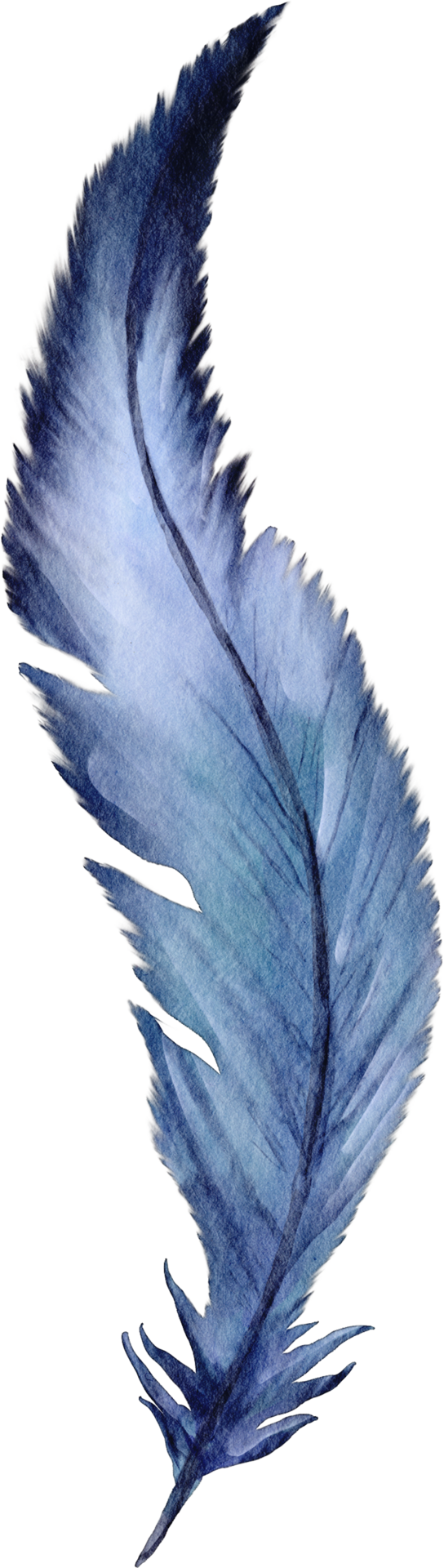 Watercolor Feather PNG Image, Watercolor Blue Feather, Illustration, Feather,  Watercolor PNG Image For Free Download