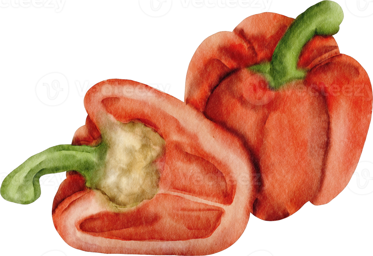 imágenes prediseñadas de pimiento morrón acuarela png