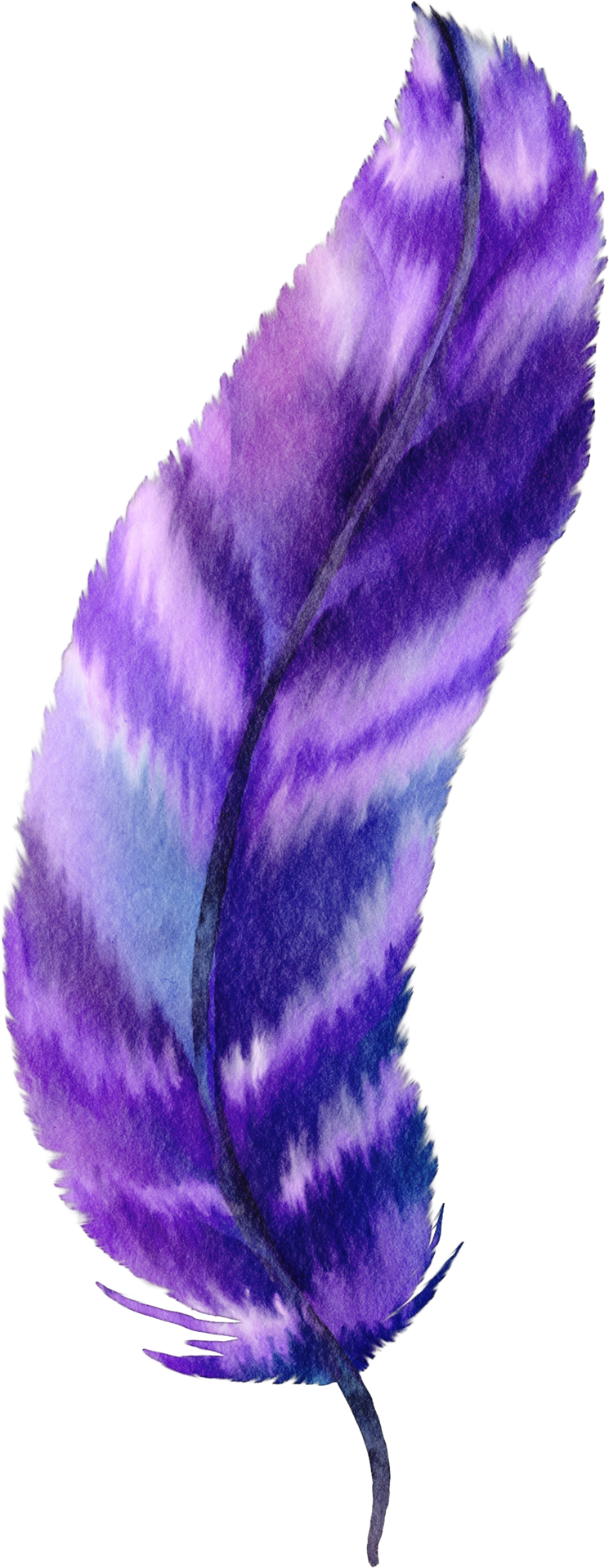 watercolor purple feather 10987980 PNG