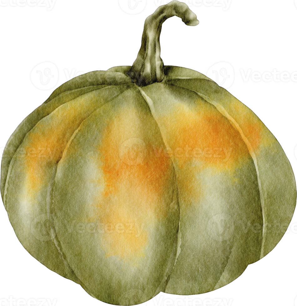 watercolor pumpkin clip art png