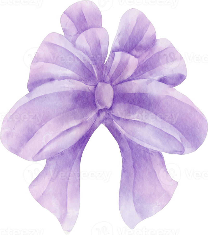 watercolor purple bow clip art png