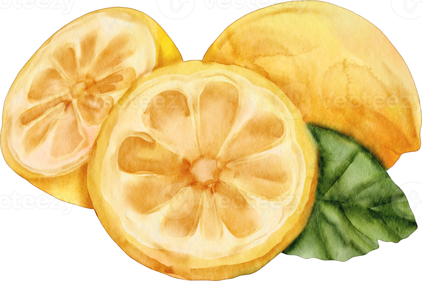 watercolor lemon clip art png