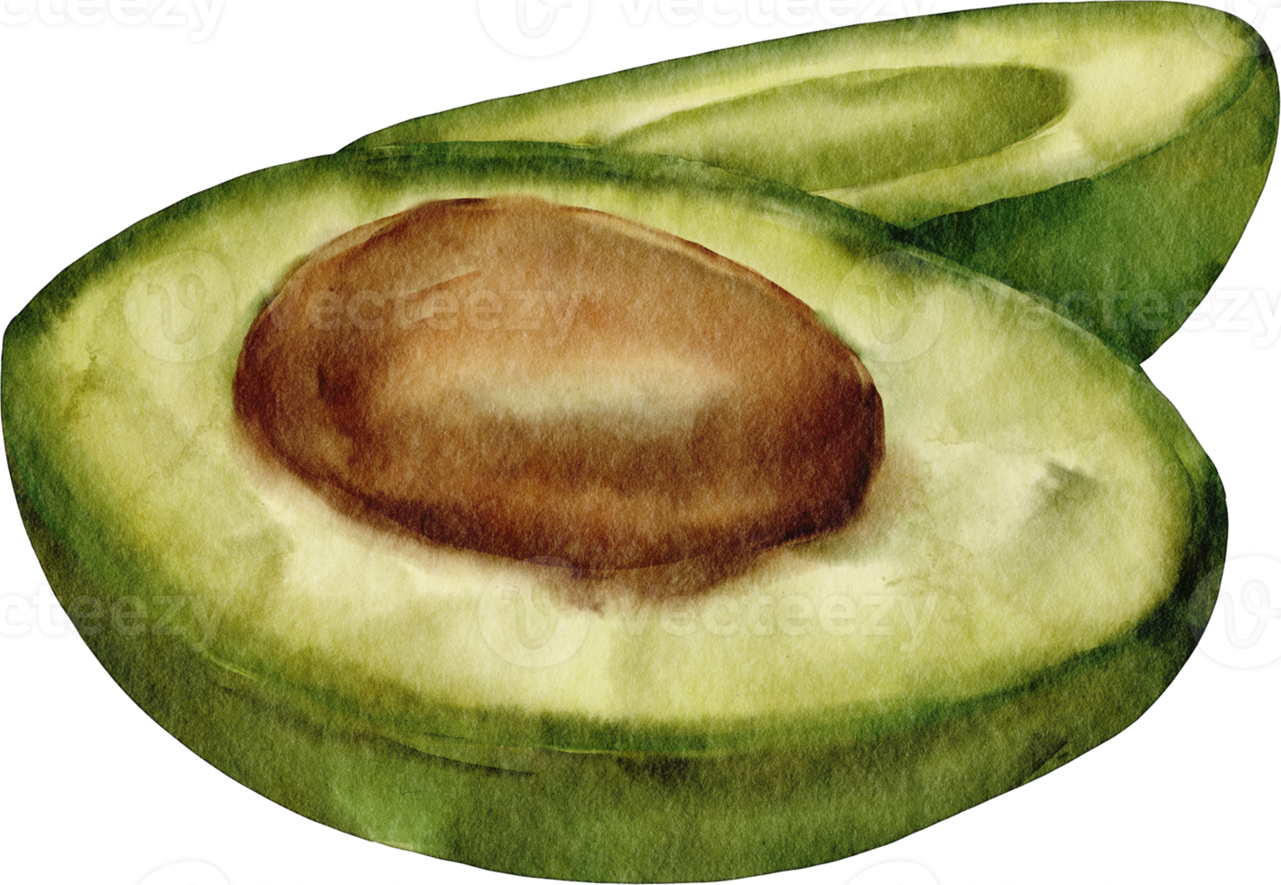 imágenes prediseñadas de aguacate acuarela png