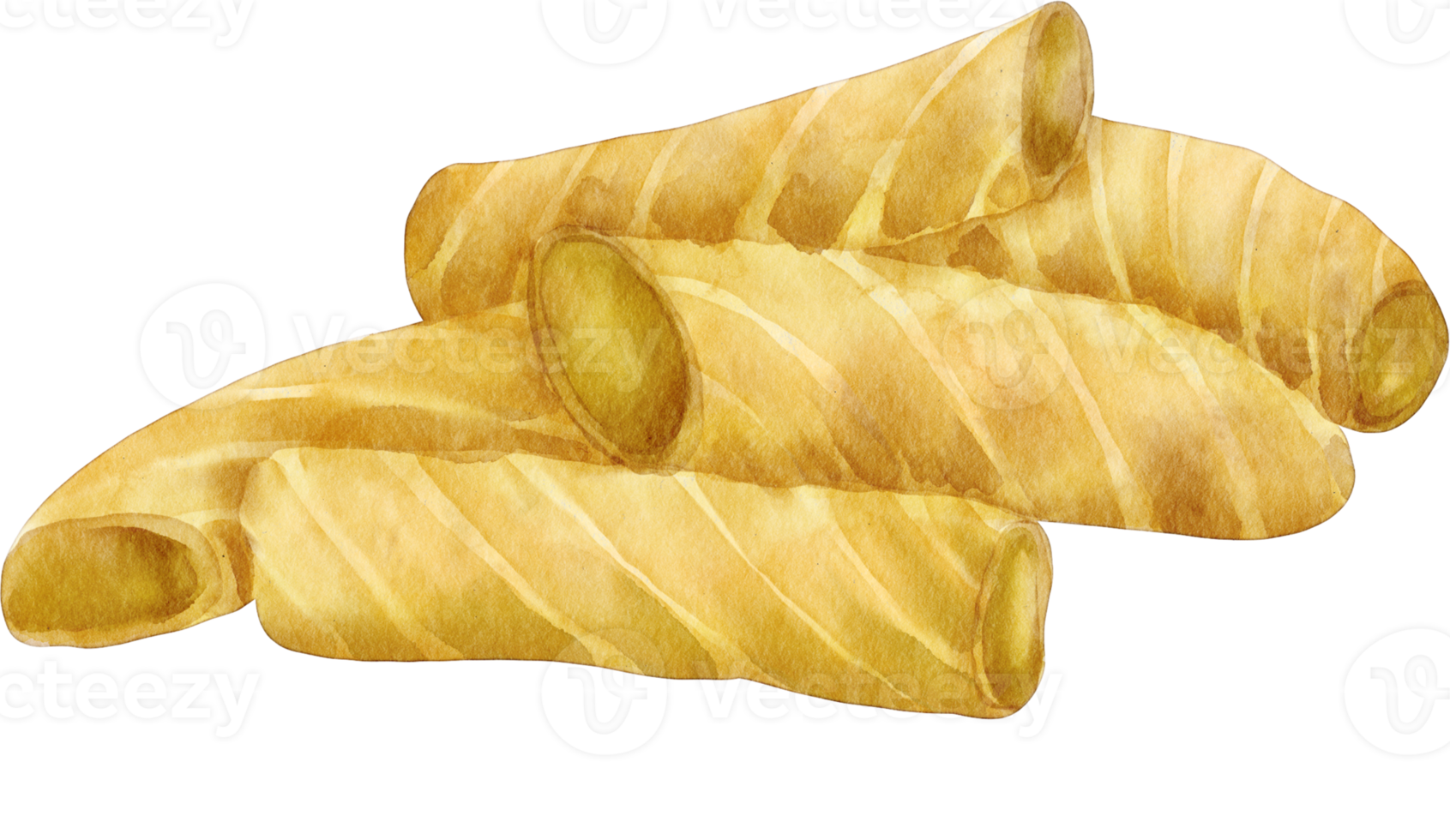 tortiglioni de pâtes aquarelle png