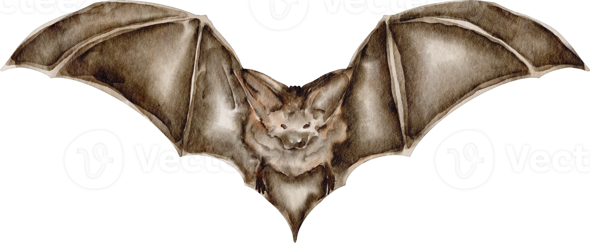 watercolor bat clip art png