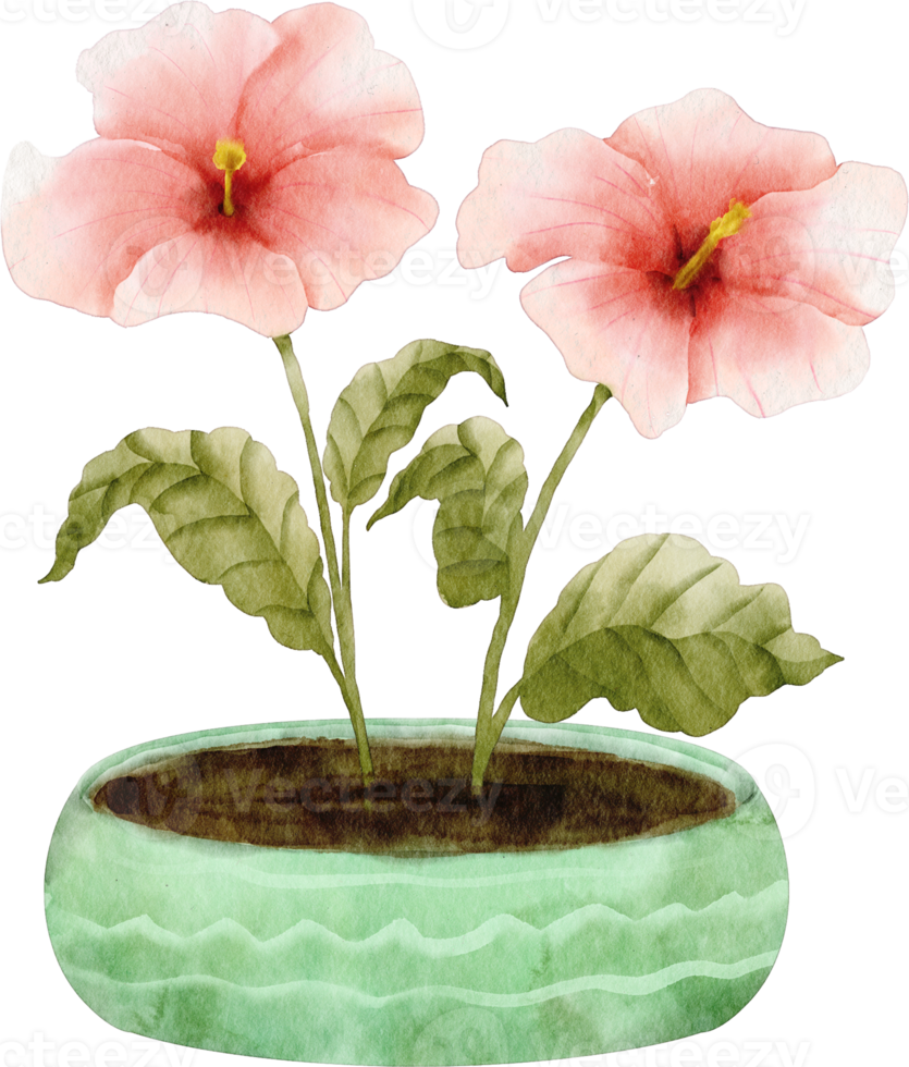 waterverf roze bloem klem kunst png