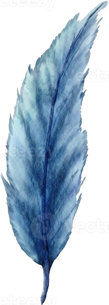 watercolor blue feather clip art png