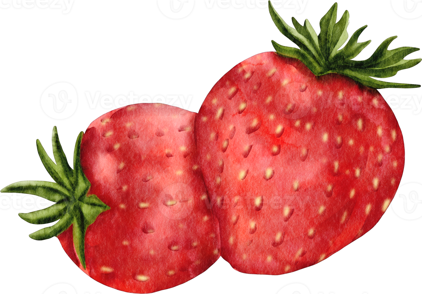 watercolor strawberry clip art png